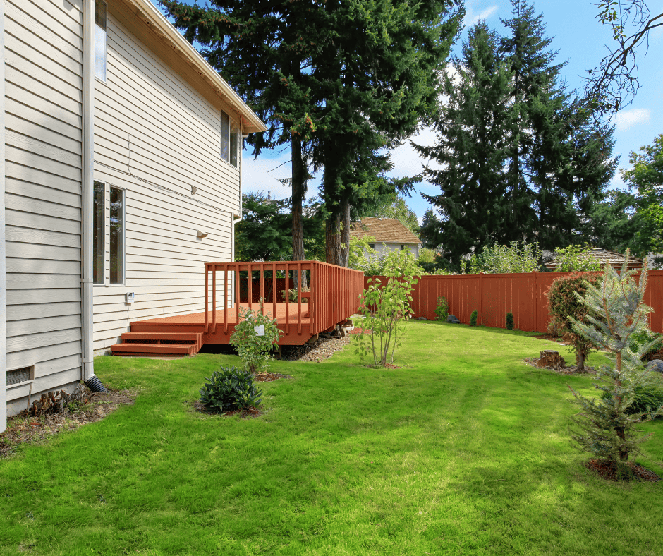 deck and fence painting